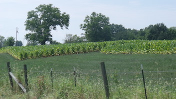 Farm Appraisal Services